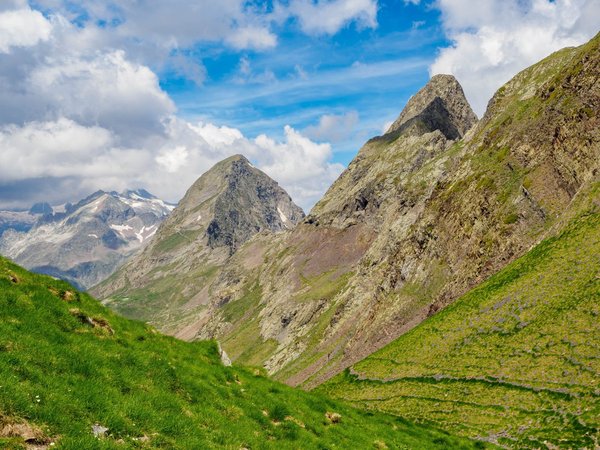Quelles idées pour un projet de sauvegarde des abeilles en milieu urbain ?